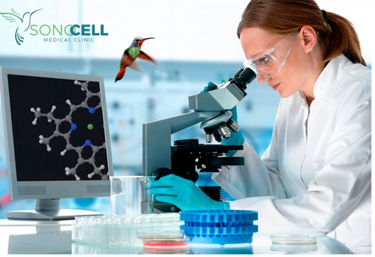 Slider image (8) Sonocell Medical Clinic